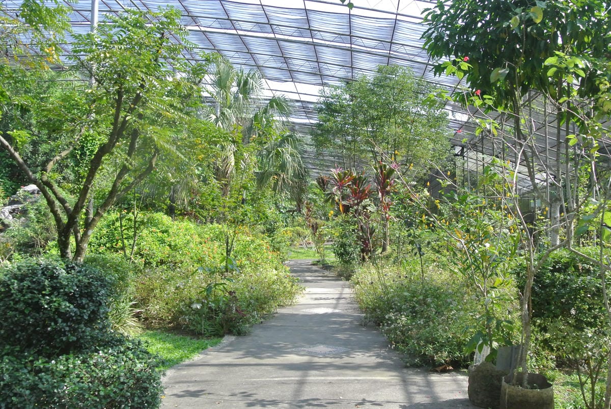 美綠民宿~寧靜好地方 美綠民宿~寧靜好地方