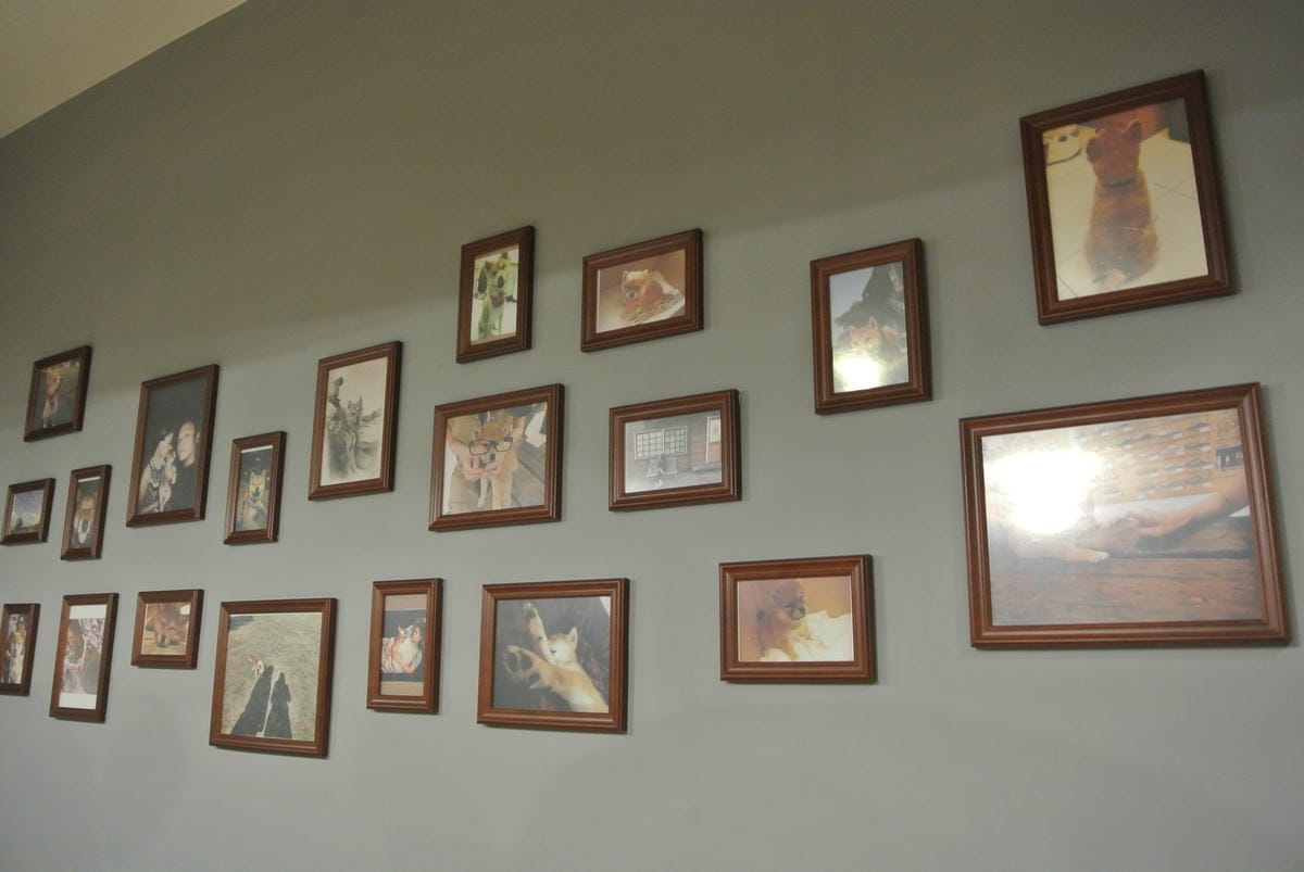 DSC_0847.JPG DSC_0847.JPG