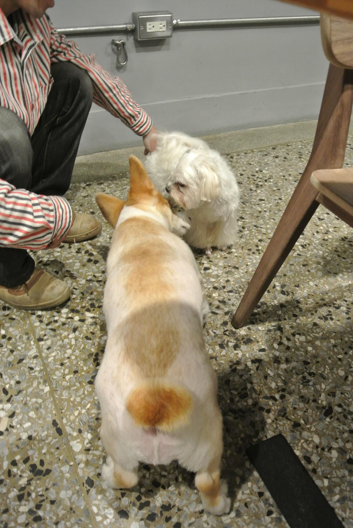 DSC_0868.JPG DSC_0868.JPG