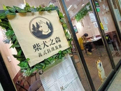 柴犬之森平價義大利麵餐廳-家庭日好選擇 柴犬之森平價義大利麵餐廳-家庭日好選擇