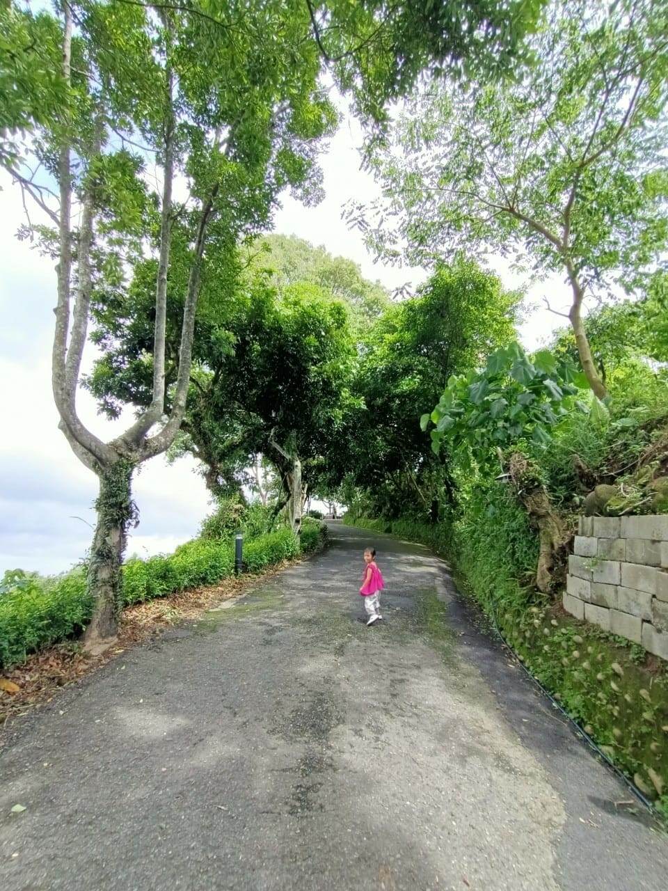 仙湖農場-5220210