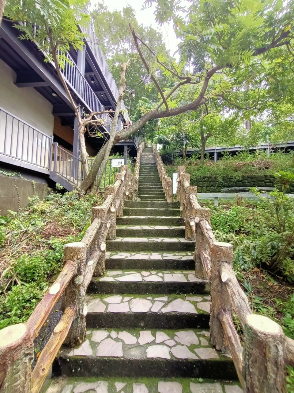 仙湖農場-5220210