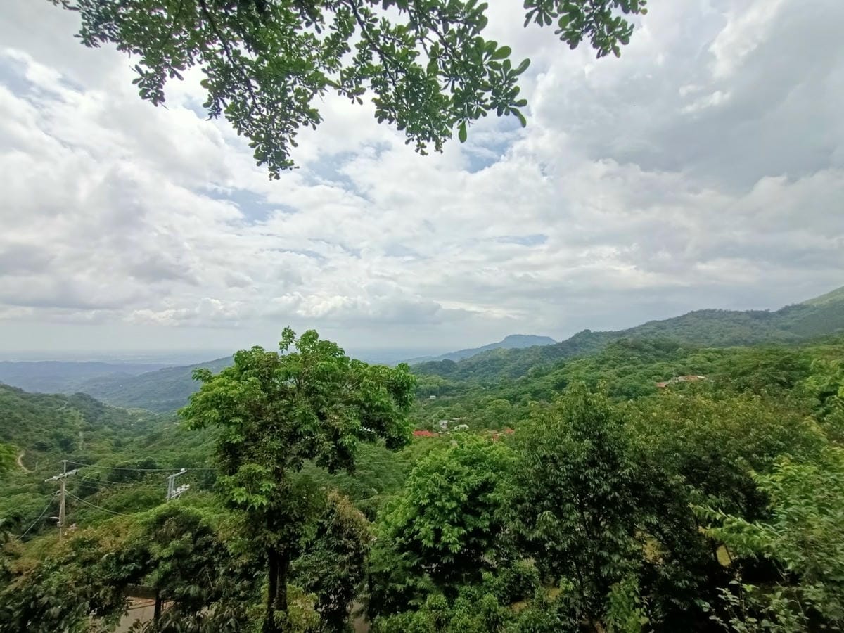 丹品咖啡-景觀咖啡廳,每人低消飲品,有那價值呦 丹品咖啡-景觀咖啡廳,每人低消飲品,有那價值呦