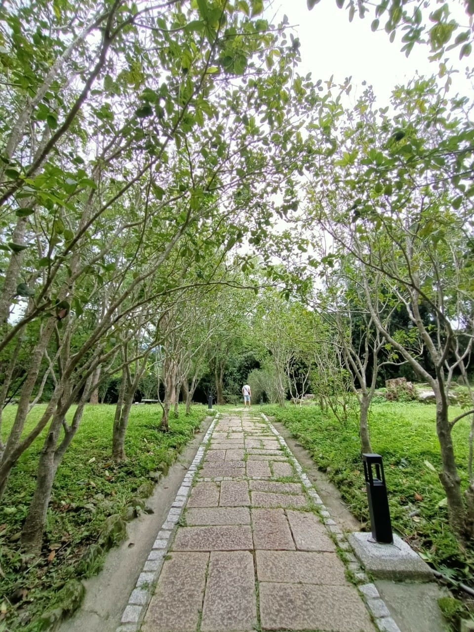 原味山產-來關子嶺泡溫泉都要吃桶子雞 原味山產-來關子嶺泡溫泉都要吃桶子雞