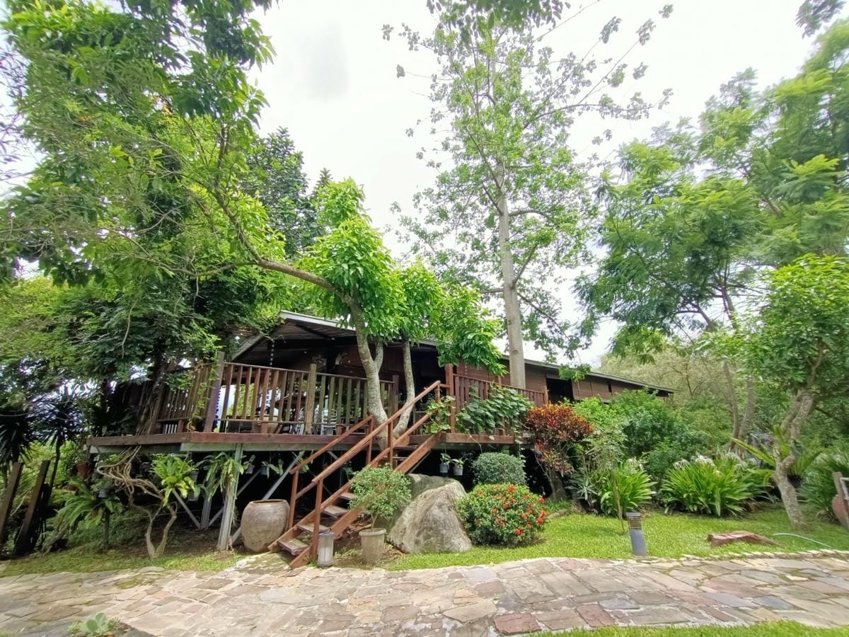 樸軒食房(樸軒景觀餐廳)請先來電預約 樸軒食房(樸軒景觀餐廳)請先來電預約