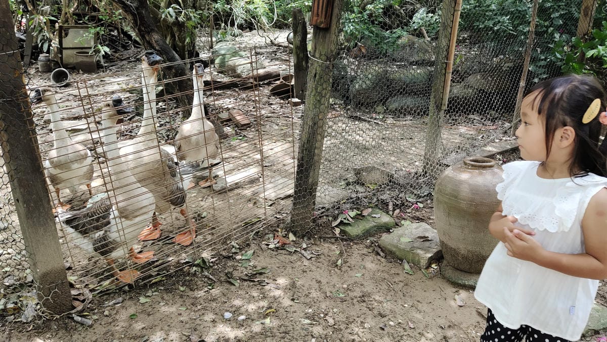 樸軒食房(樸軒景觀餐廳)請先來電預約 樸軒食房(樸軒景觀餐廳)請先來電預約