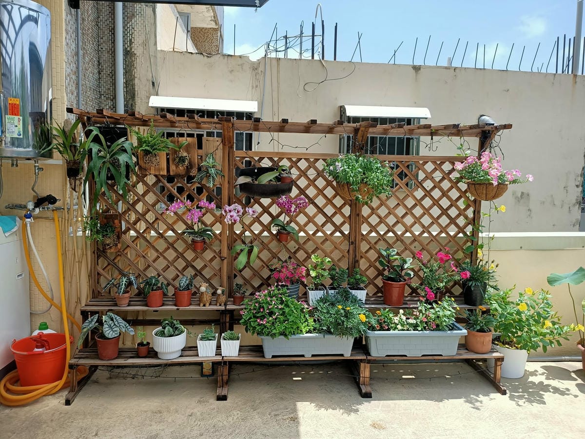 好友入厝趴20121221