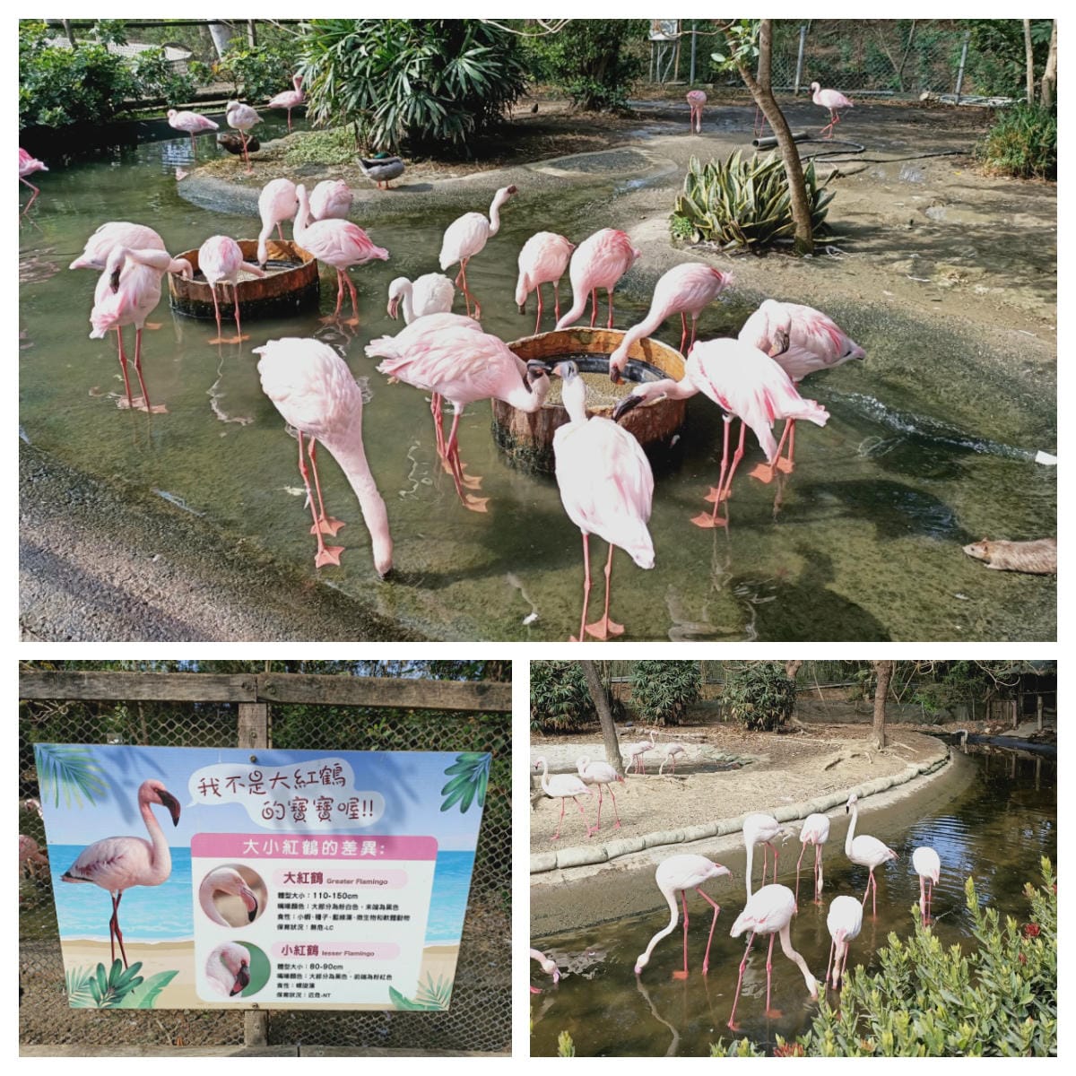 頑皮世界-一票玩到底很超值