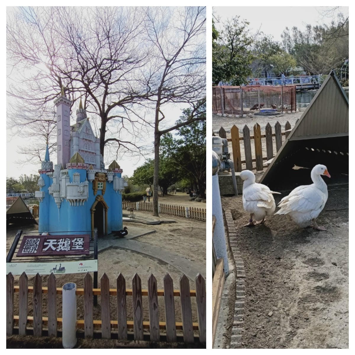 頑皮世界-一票玩到底很超值