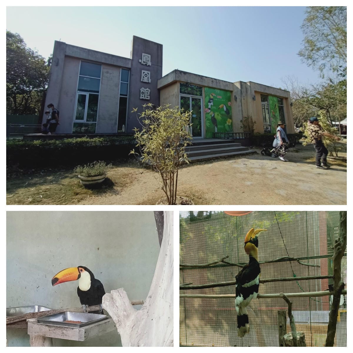 頑皮世界-一票玩到底很超值