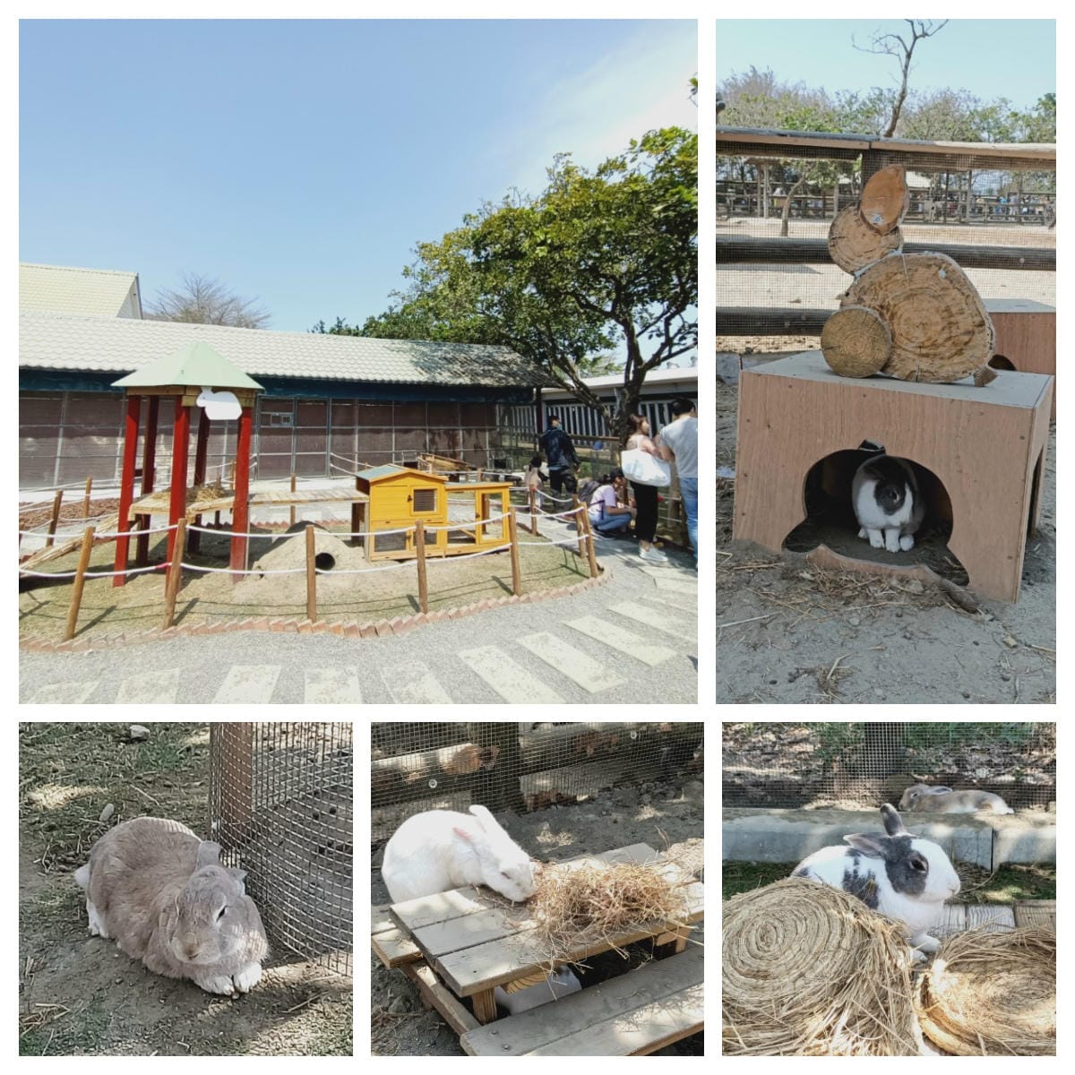 頑皮世界-一票玩到底很超值