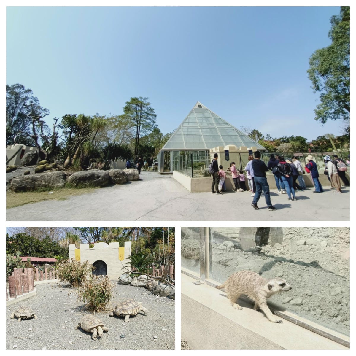頑皮世界-一票玩到底很超值