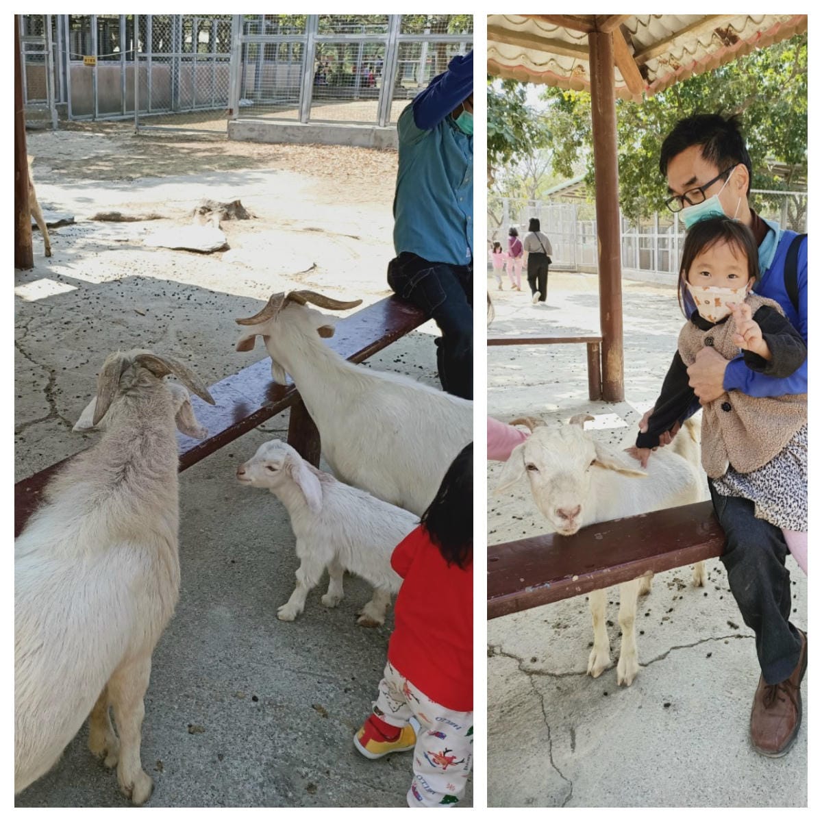 頑皮世界-一票玩到底很超值