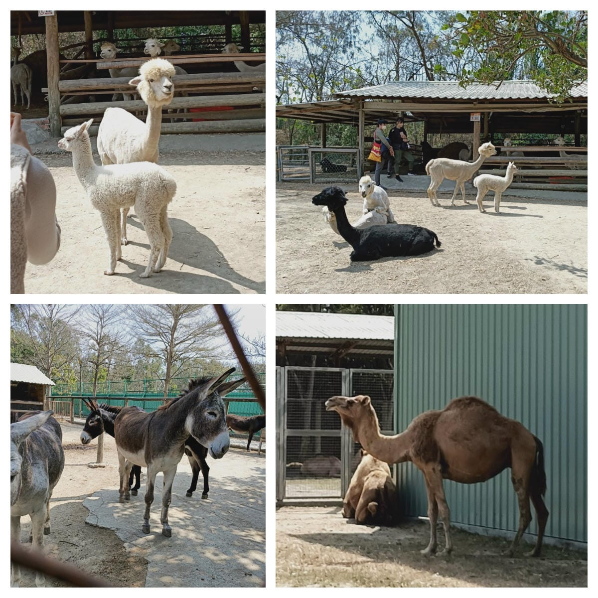 頑皮世界-一票玩到底很超值