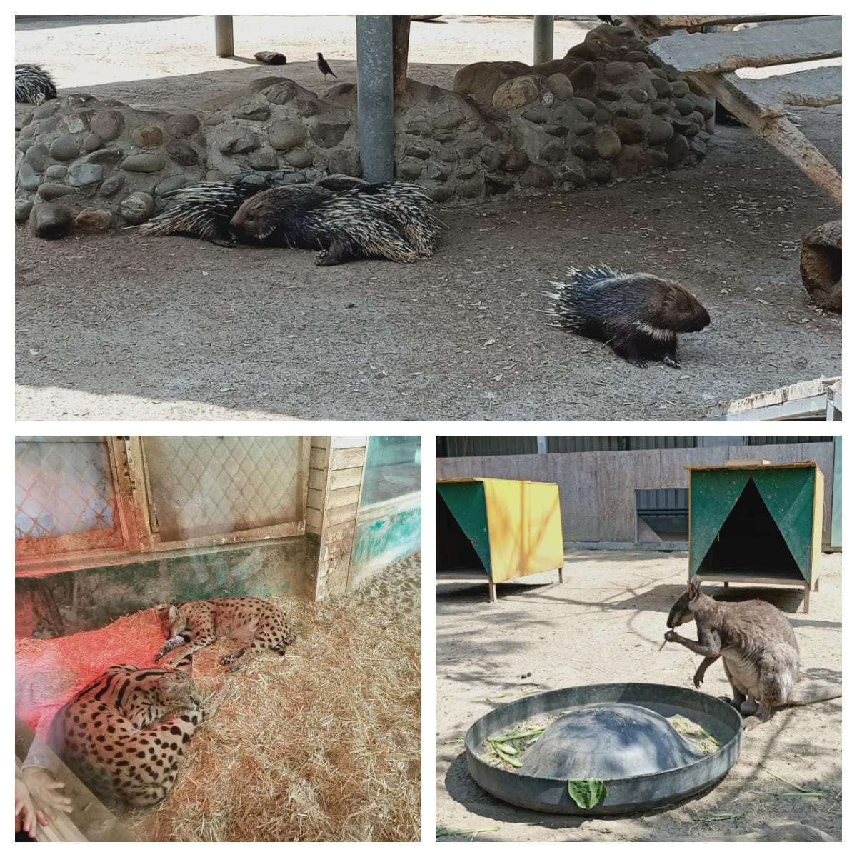 頑皮世界-一票玩到底很超值