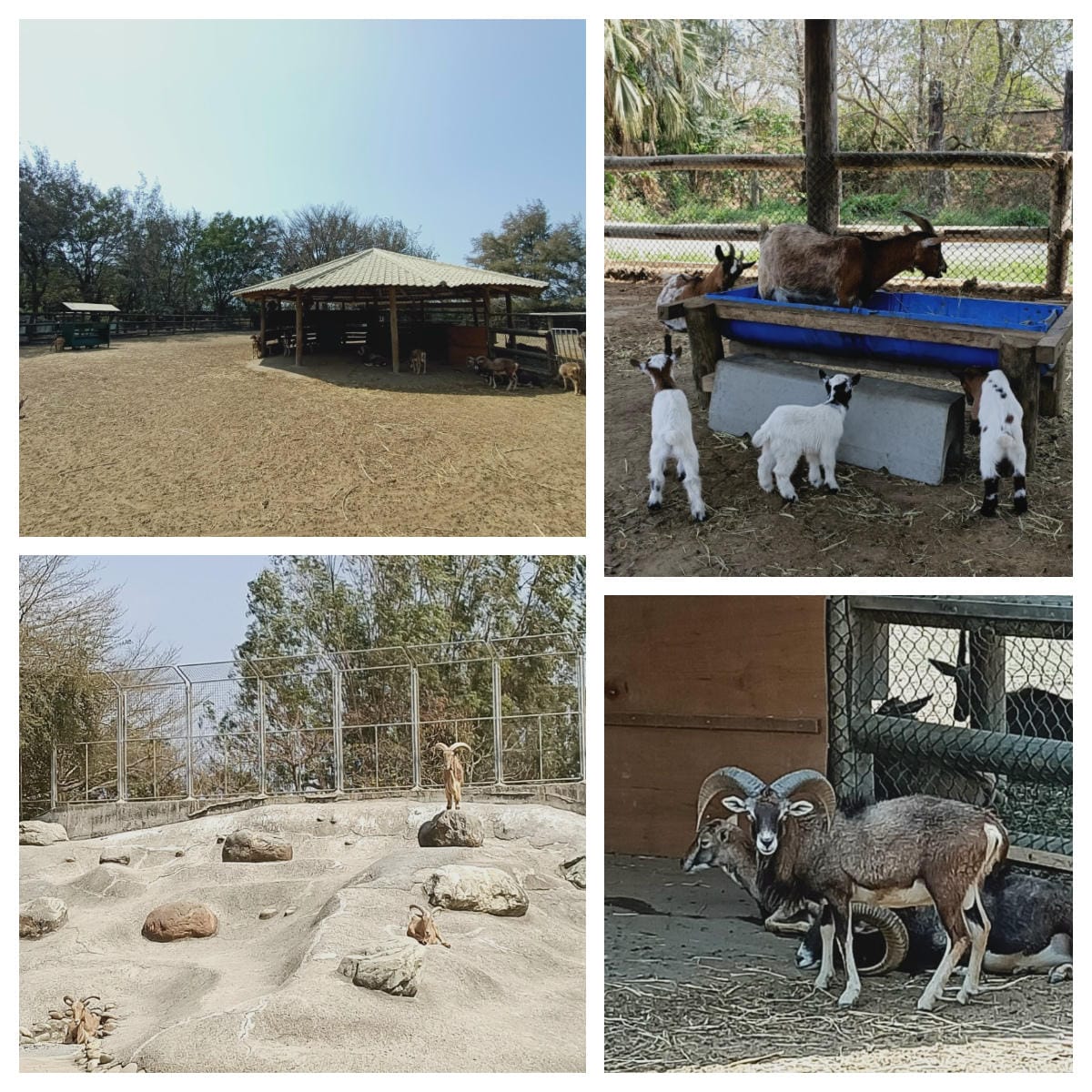 頑皮世界-一票玩到底很超值