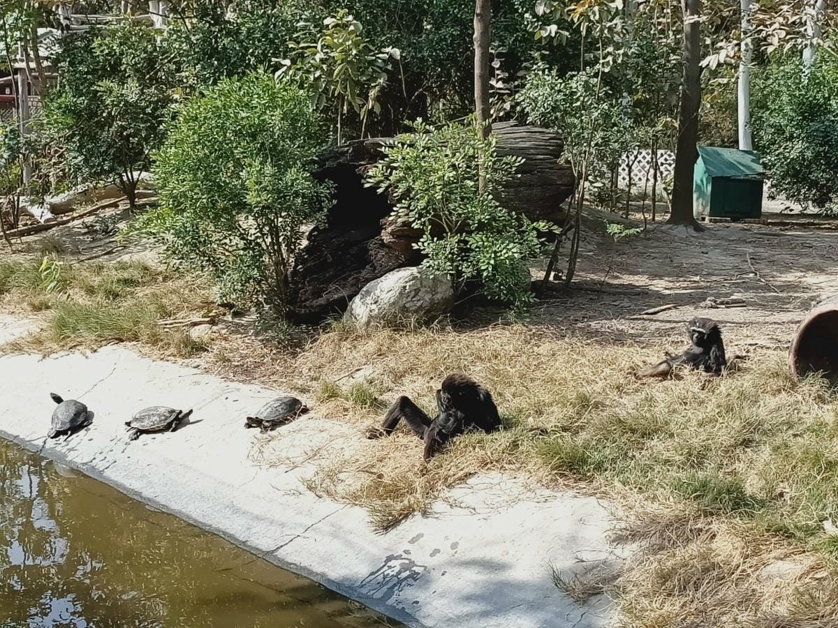 頑皮世界-一票玩到底很超值