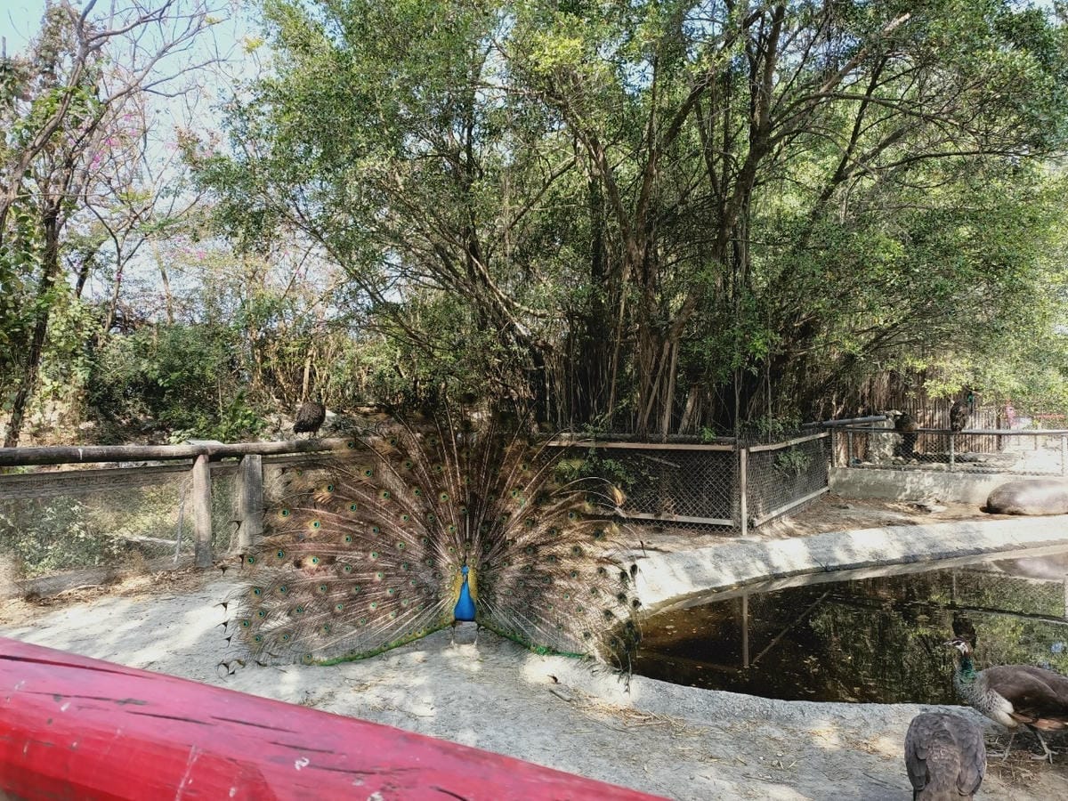 頑皮世界-一票玩到底很超值