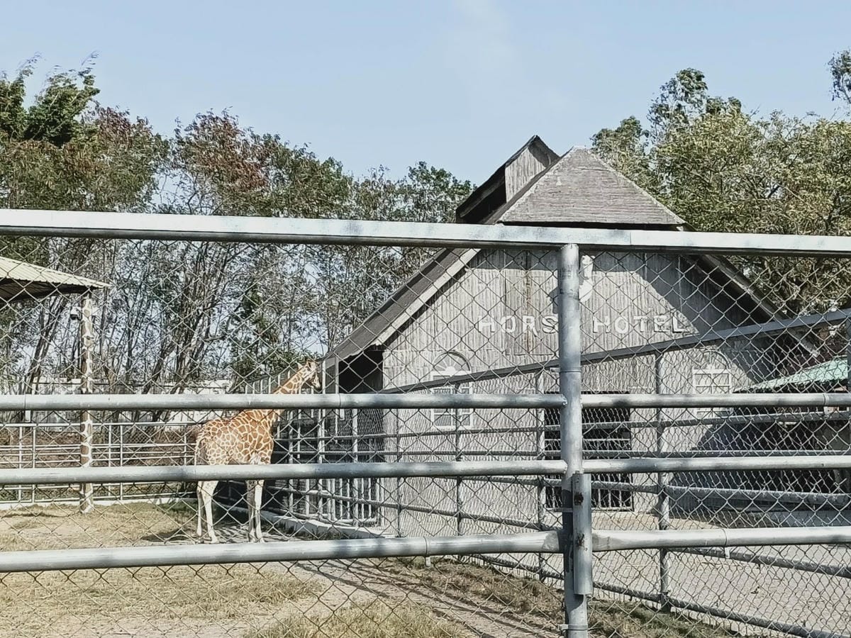 頑皮世界-一票玩到底很超值