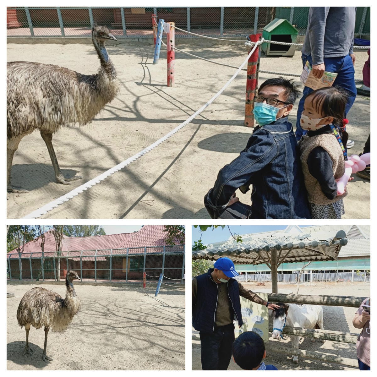 頑皮世界-一票玩到底很超值