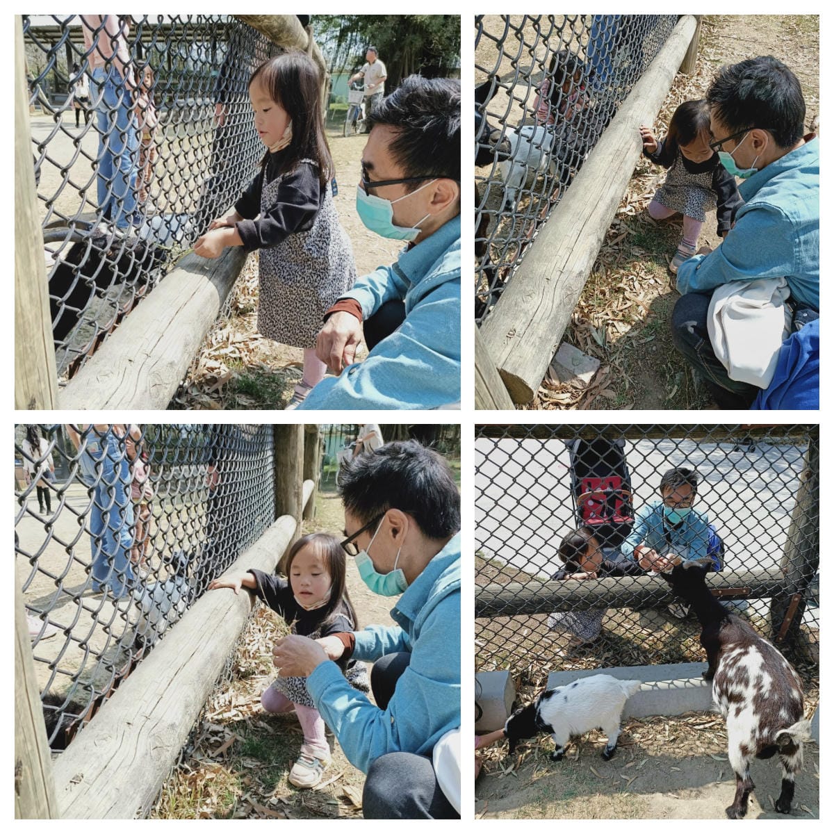 頑皮世界-一票玩到底很超值