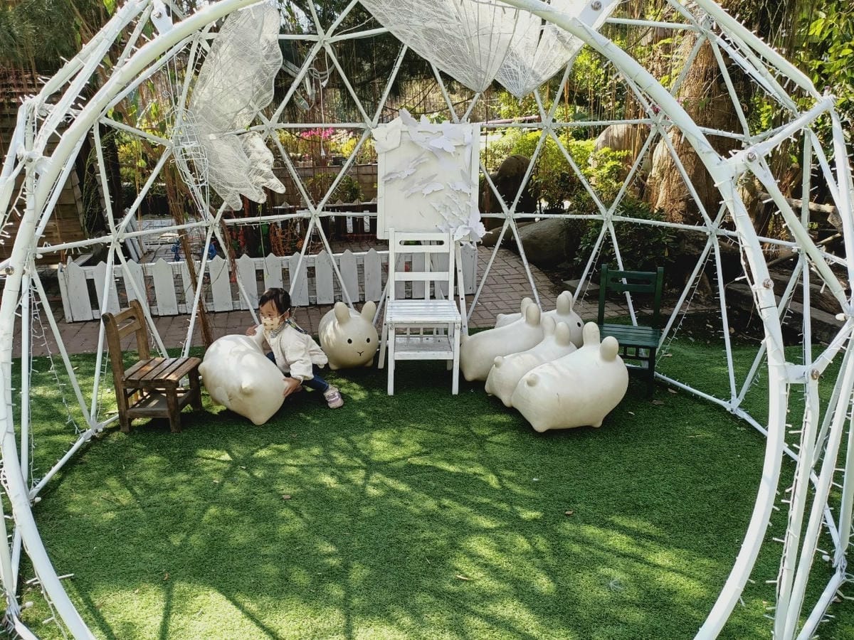 大坑休閒農場-不止小孩可放風,大人也能拍美照