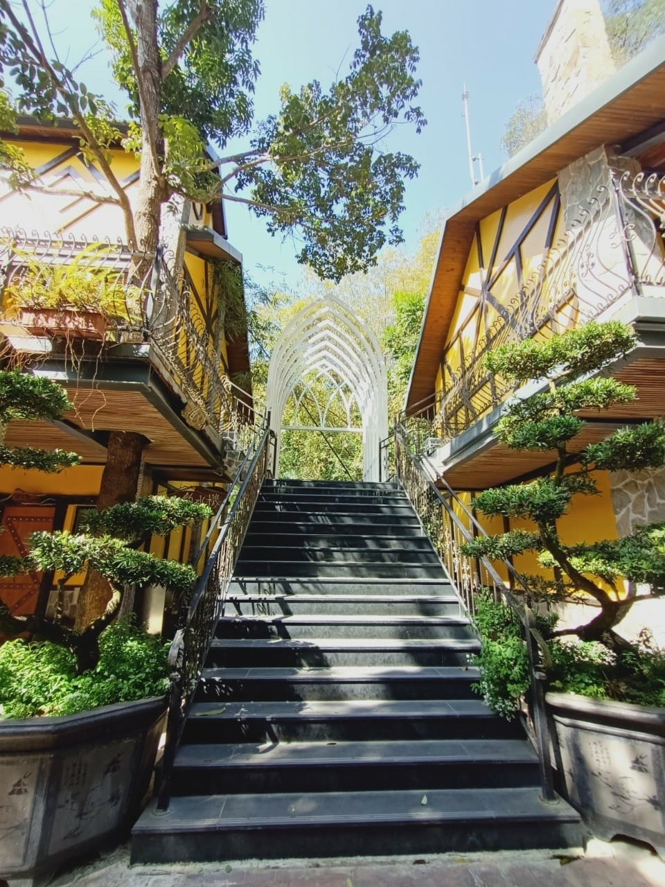 大坑休閒農場-不止小孩可放風,大人也能拍美照