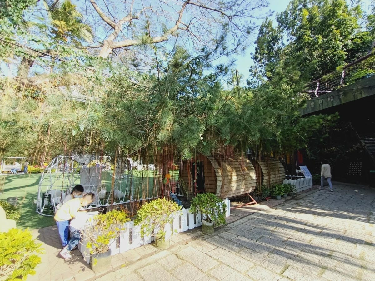 大坑休閒農場-不止小孩可放風,大人也能拍美照