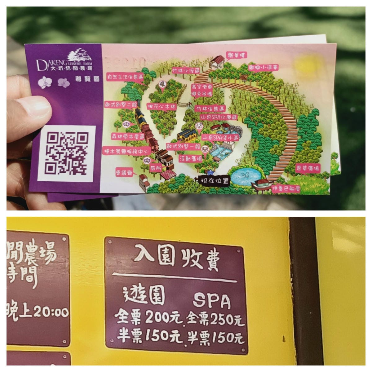 大坑休閒農場-不止小孩可放風,大人也能拍美照