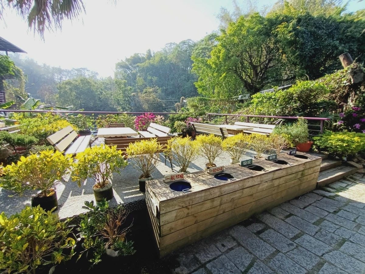 大坑休閒農場-不止小孩可放風,大人也能拍美照