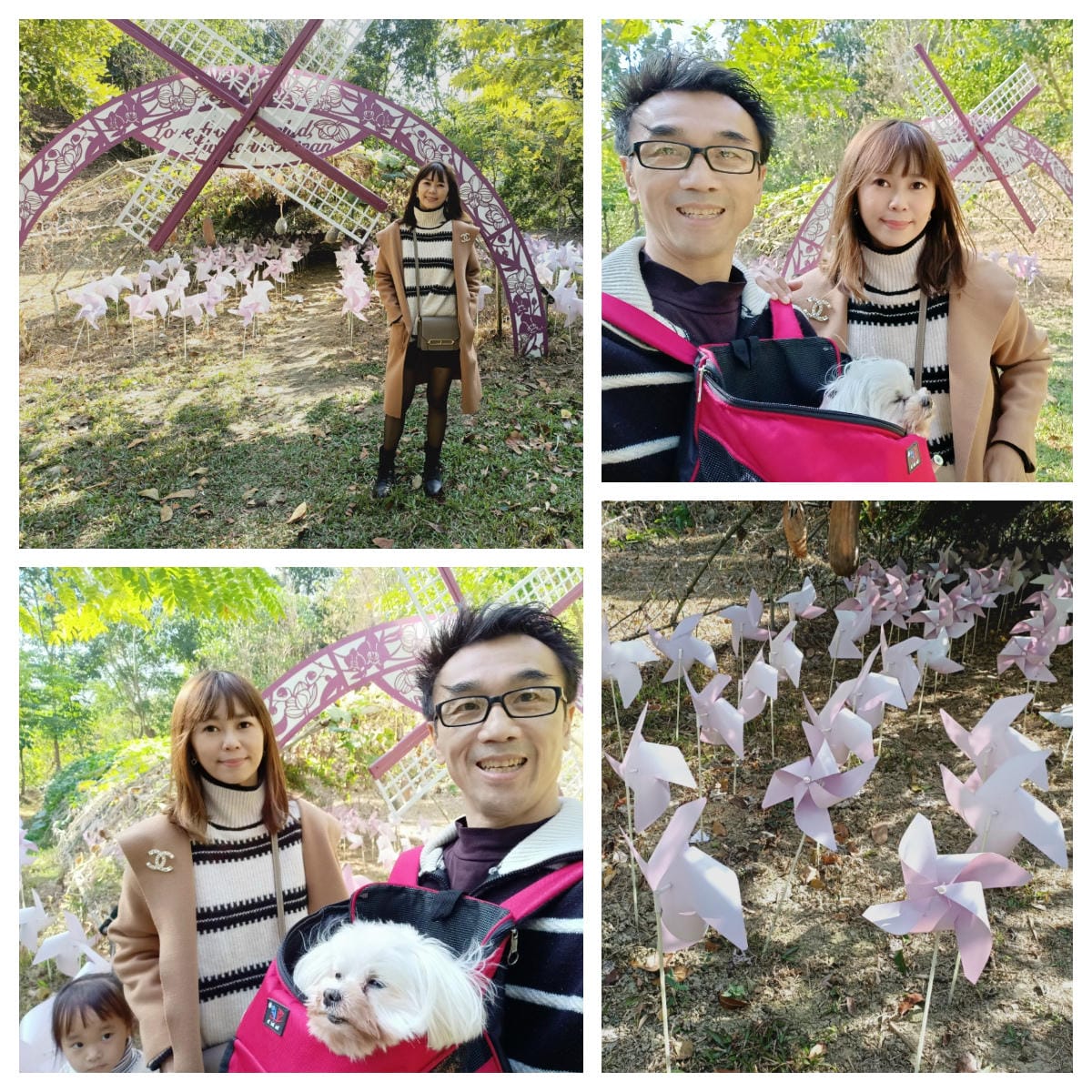 大坑休閒農場-不止小孩可放風,大人也能拍美照