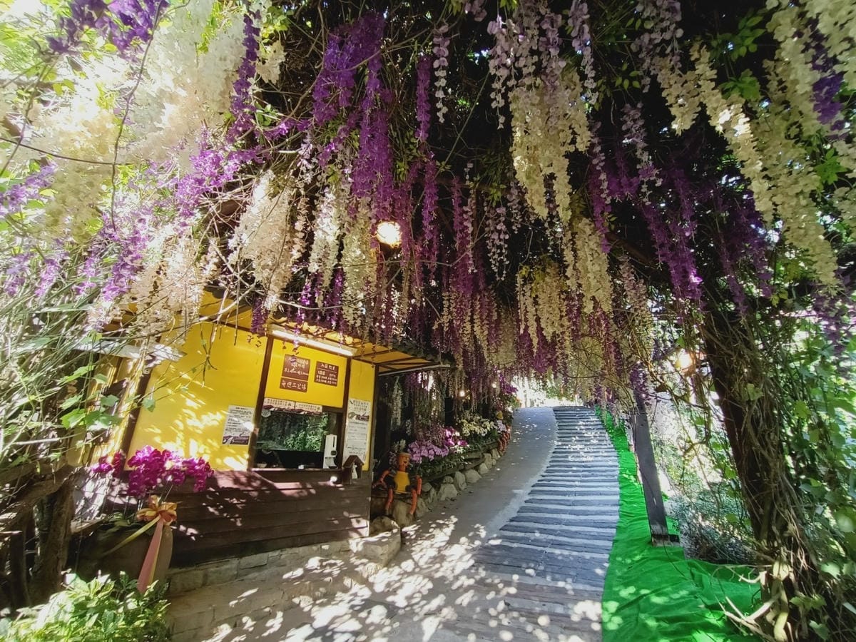 大坑休閒農場-不止小孩可放風,大人也能拍美照