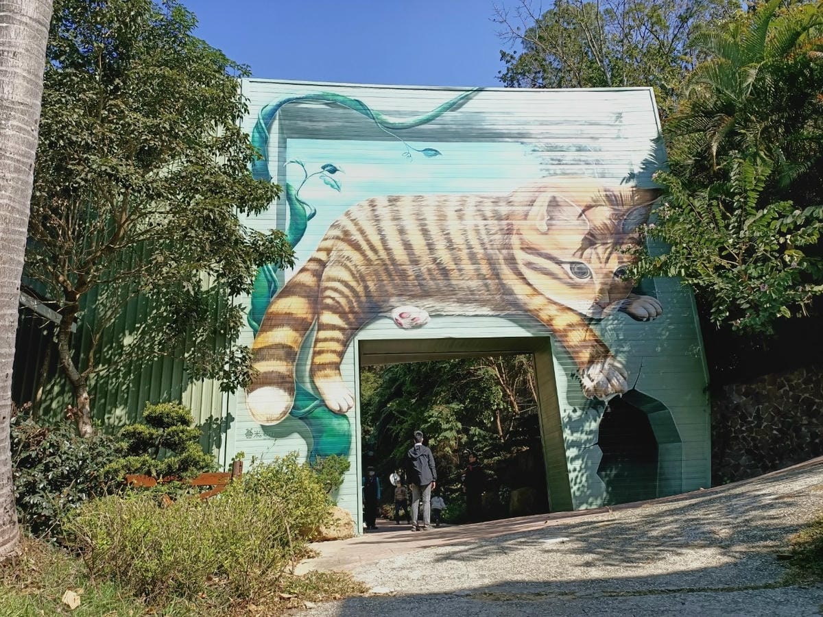 大坑休閒農場-不止小孩可放風,大人也能拍美照