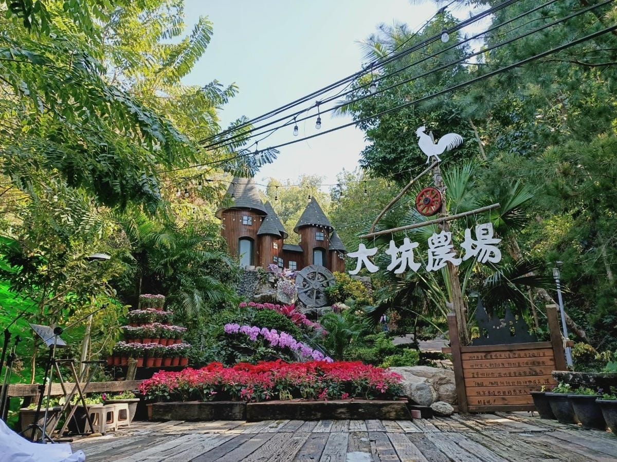 大坑休閒農場-不止小孩可放風,大人也能拍美照