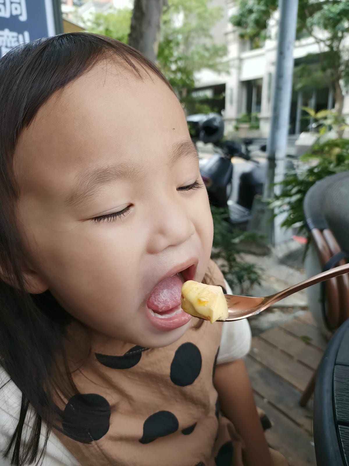 菁咖啡 coffee drink -竉物親子友善超級推