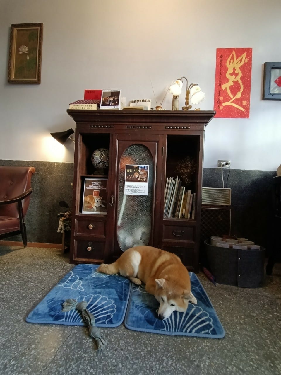 順風號咖啡館-老宅迷別錯過 順風號咖啡館-老宅迷別錯過