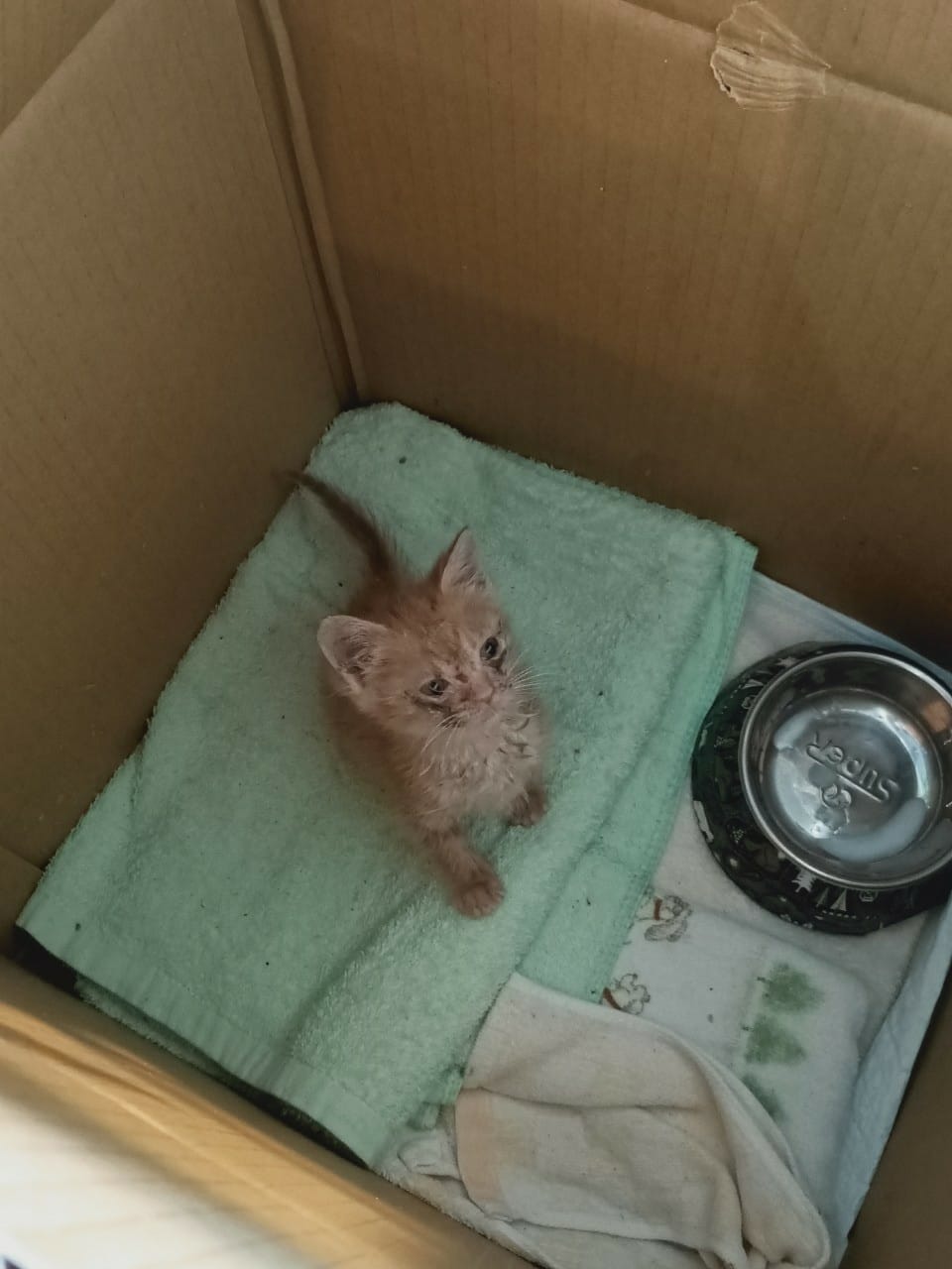 長堤cafe -阿公店水庫旁-湖景咖啡館