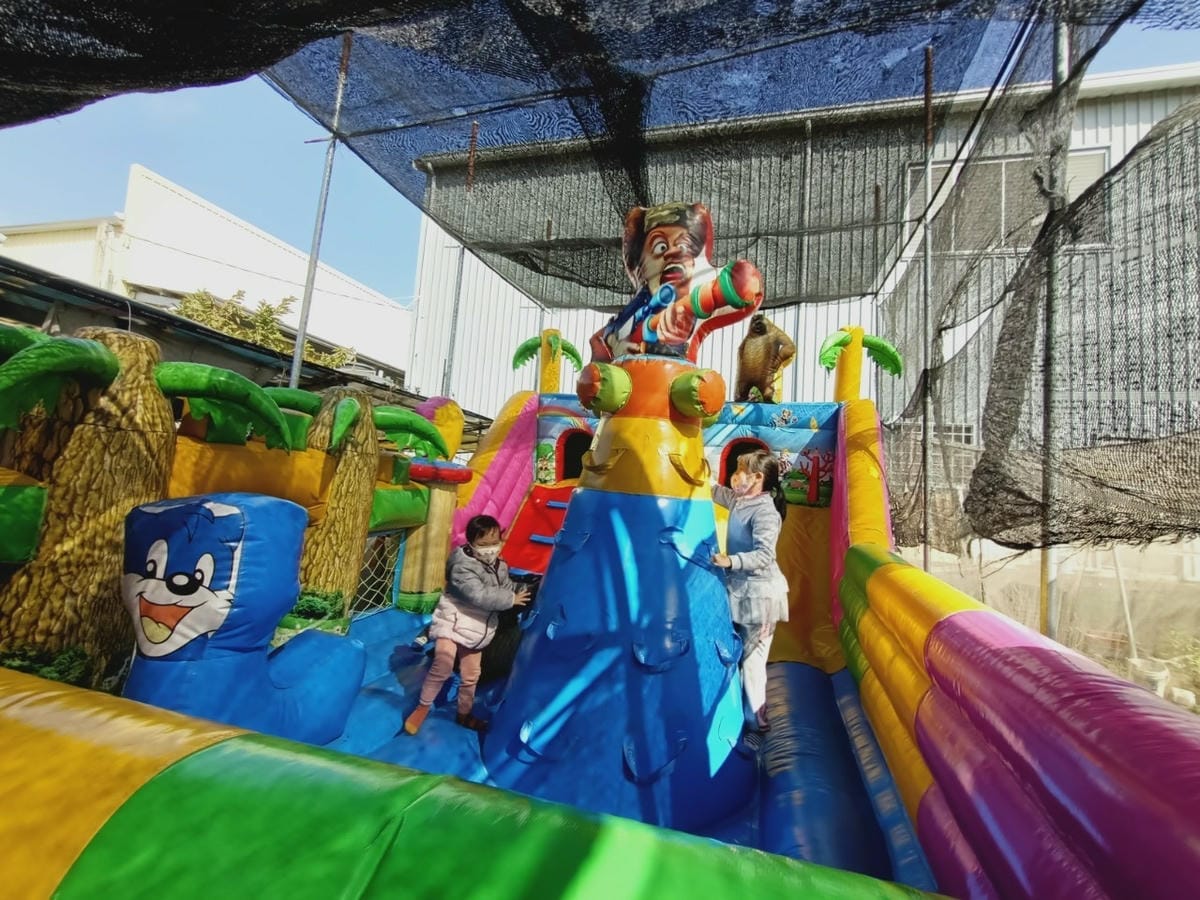 台南開心有機農場採草莓-親子同遊趣