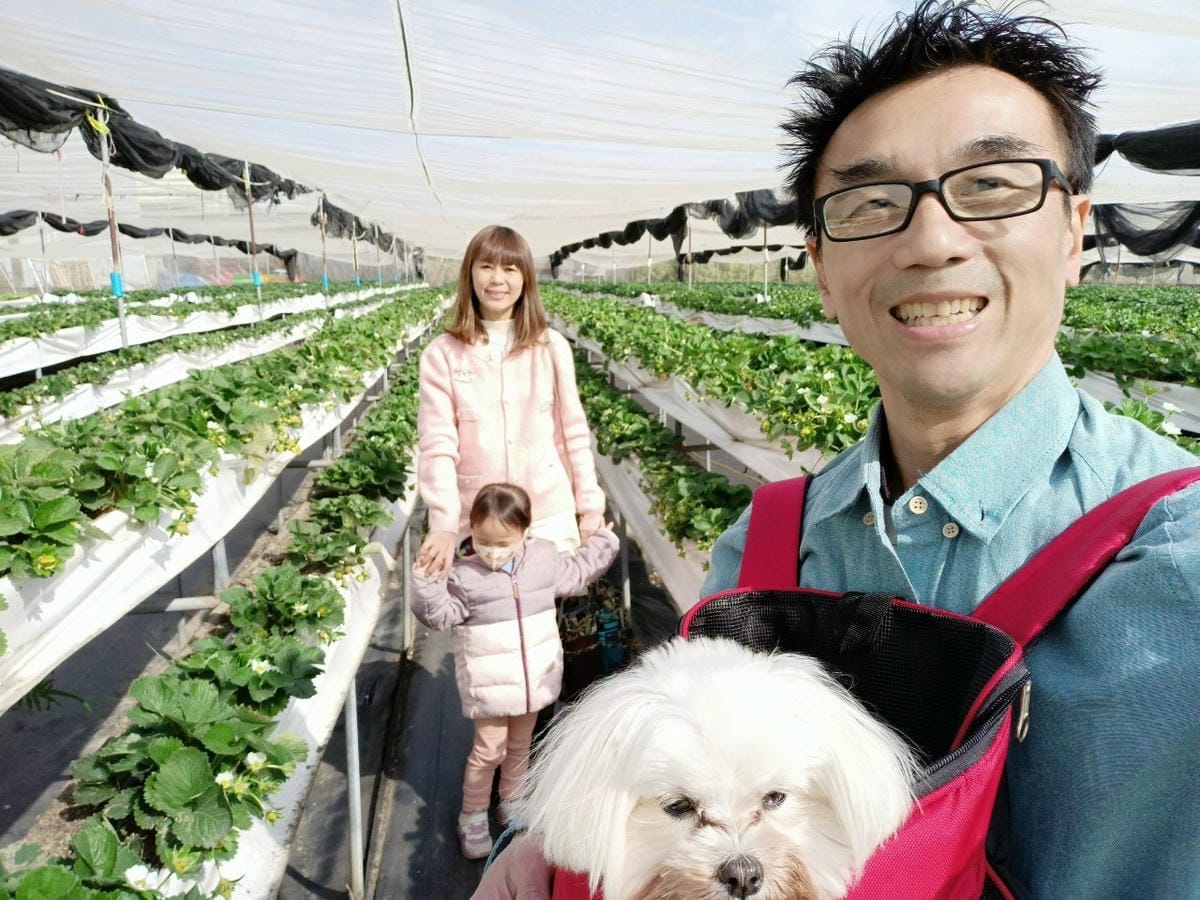 台南開心有機農場採草莓-親子同遊趣