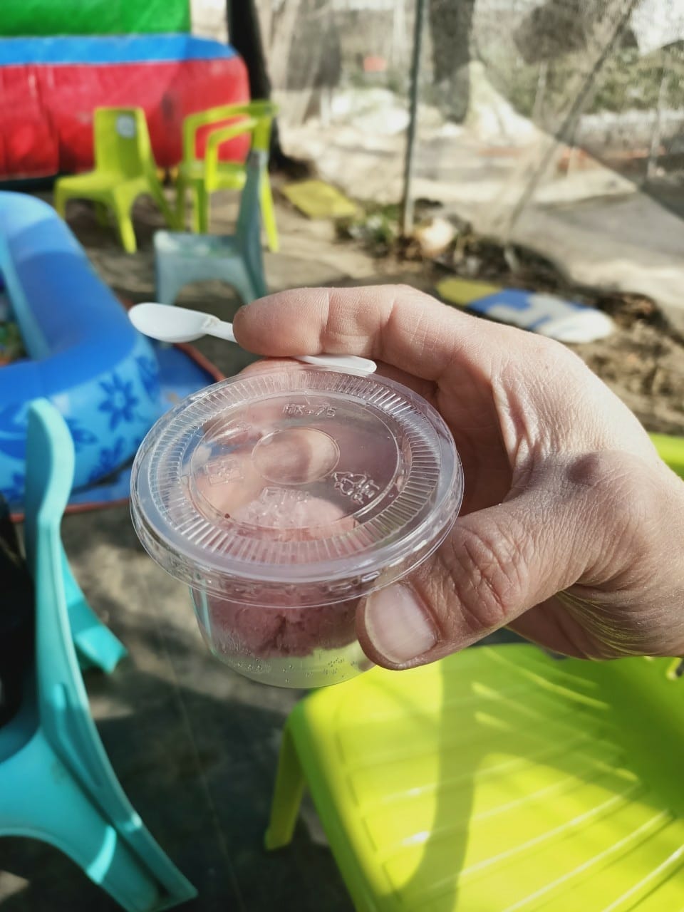 台南開心有機農場採草莓-親子同遊趣