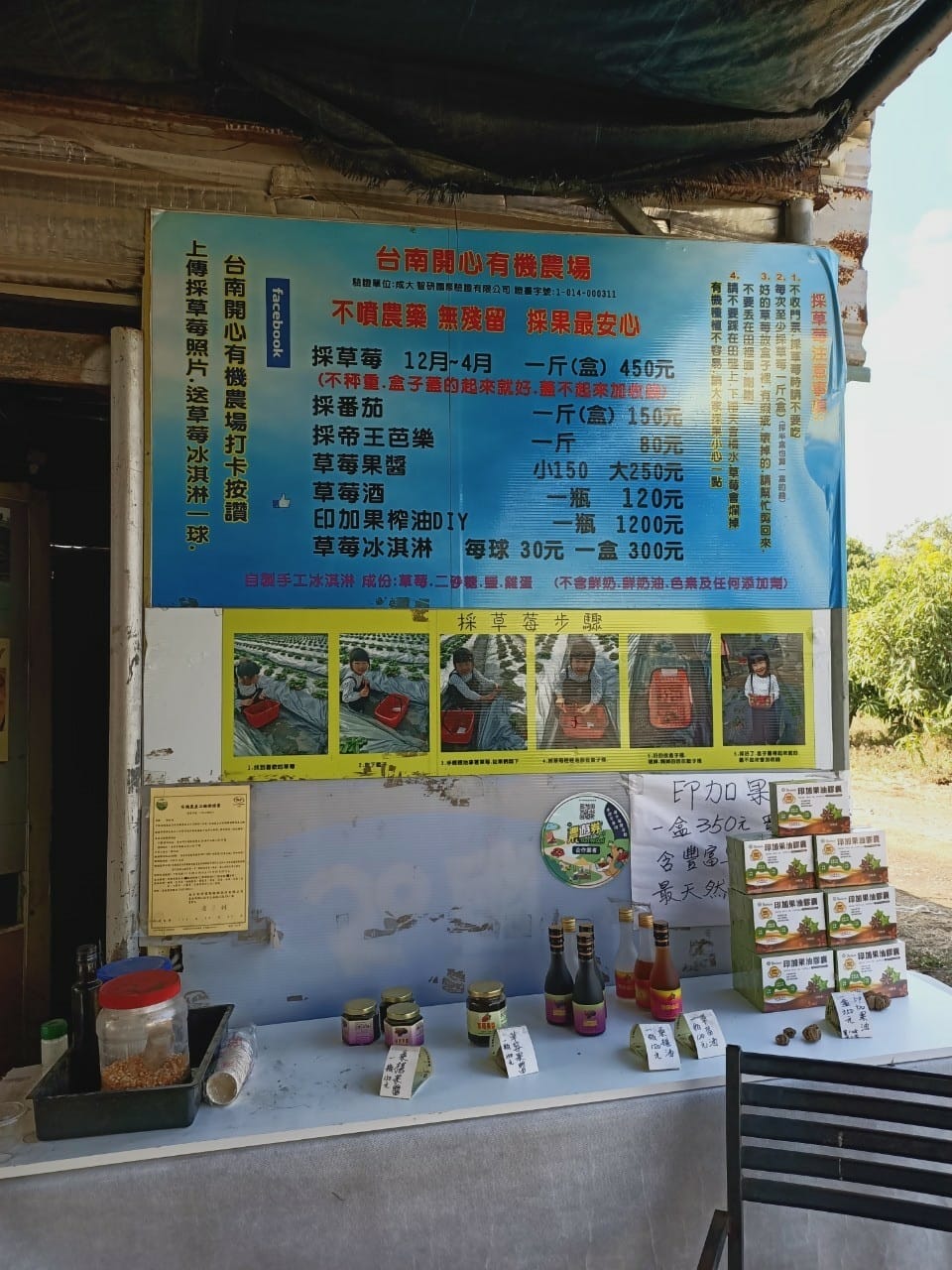 台南開心有機農場採草莓-親子同遊趣