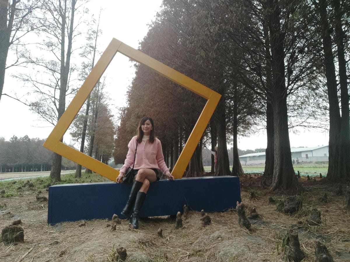 六甲落羽松-8949937557