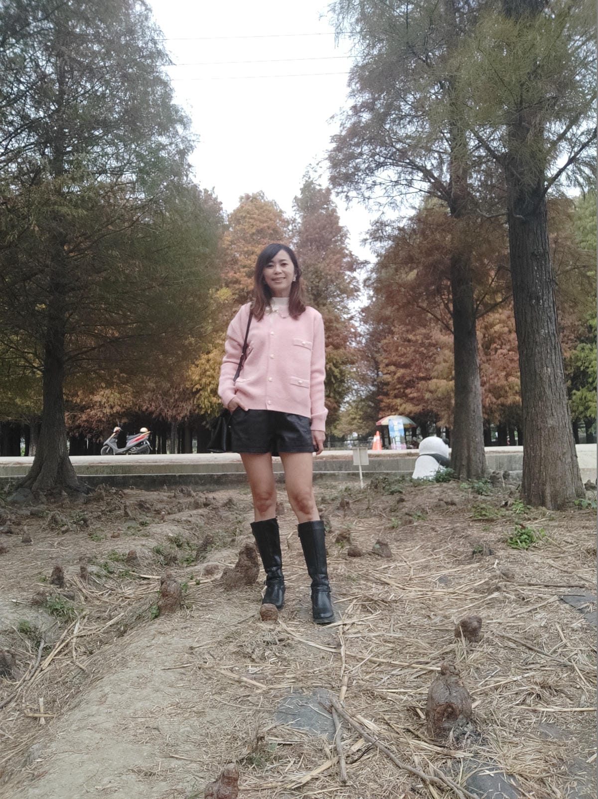 六甲落羽松-8949937557