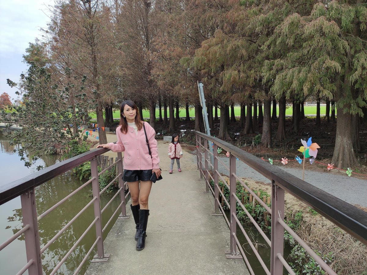 六甲落羽松-8949937557