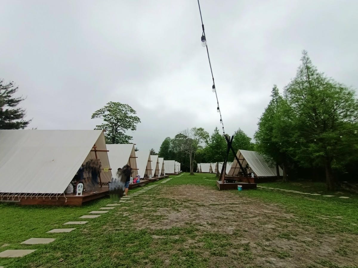 叢林開始輕奢‧懶人露營Glamping環境篇