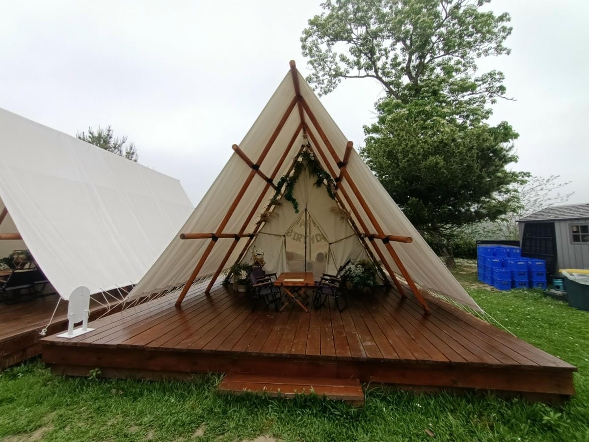 叢林開始輕奢‧懶人露營Glamping環境篇