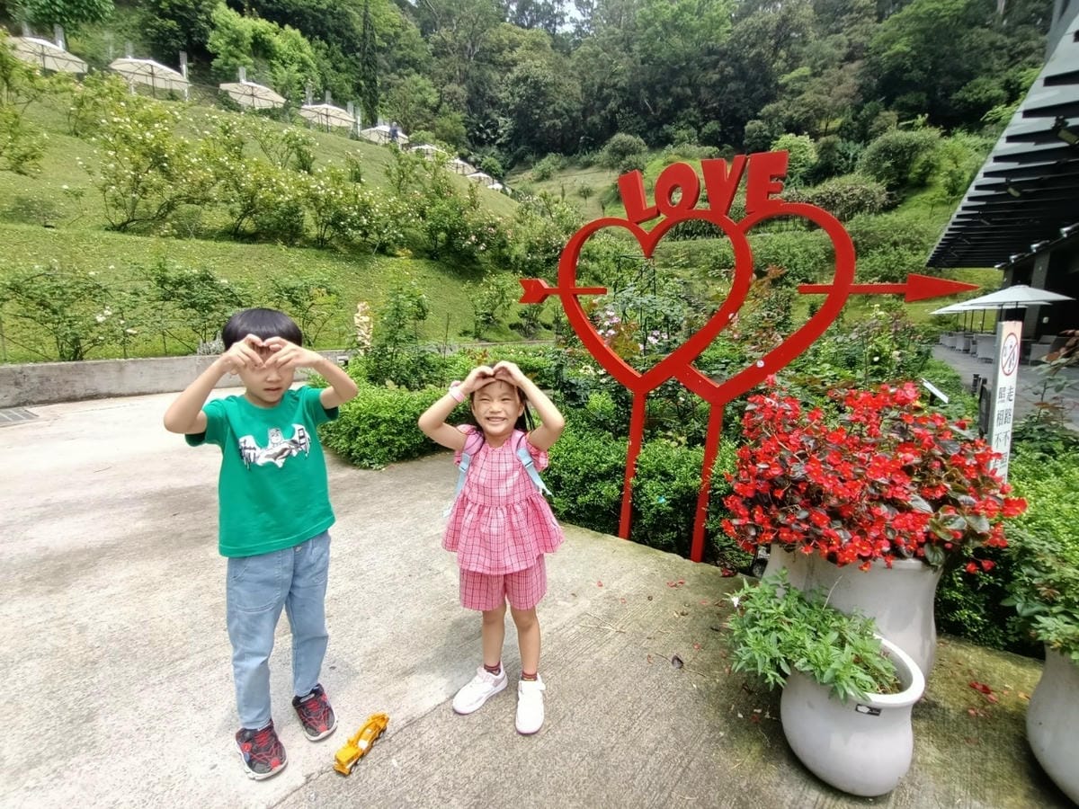 致瑰森林5212010202