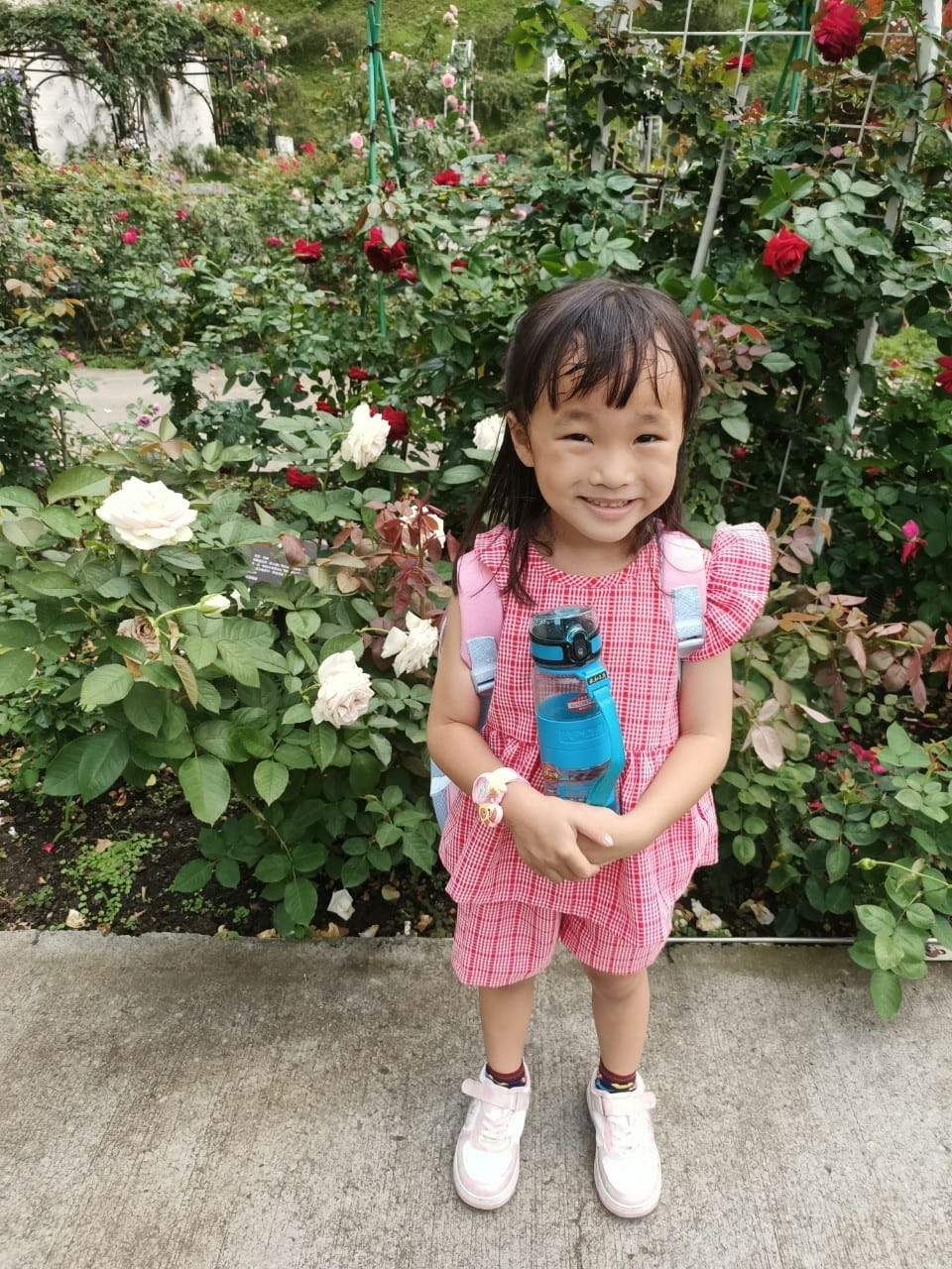 致瑰森林5212010202