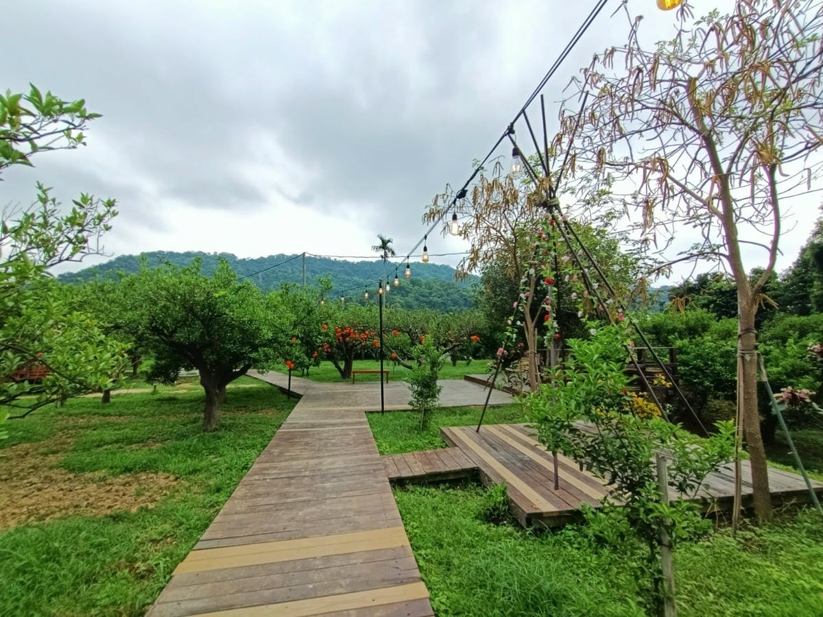 橙香森林-愛拍照別錯過