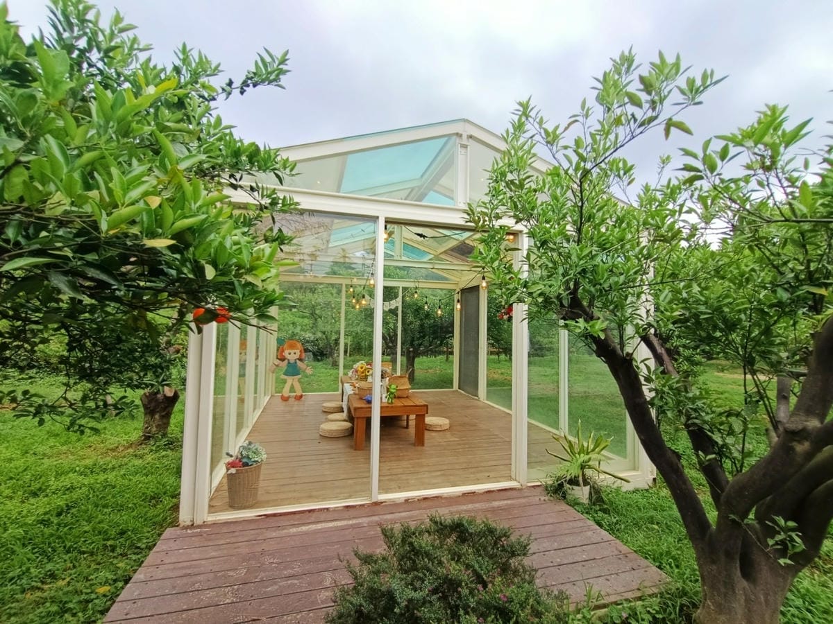 橙香森林-愛拍照別錯過